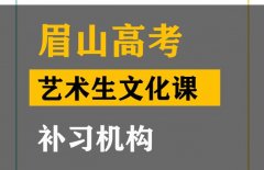 眉山艺术生文化课补习班,高中艺考生文化课提分机构