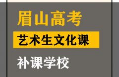 眉山体育生文化课培训怎么收费,高中艺术生文化课补课学校