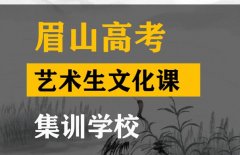 眉山艺术生文化课集训学校,高三文化课培训班