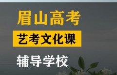 乐山音乐生文化课培训哪家好,高考艺考文化课辅导学校