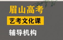 眉山传媒生文化课集训学校,高考文化课辅导机构