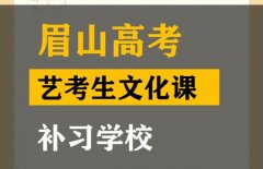 眉山传媒生文化课补习学校,高考艺考生文化课补习学校