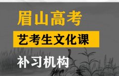 眉山音乐生文化课集训机构,高考艺考文化课补习班