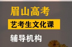 眉山传媒生文化课辅导怎么收费,高三文化课辅导班