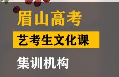 眉山艺术生文化课补习机构,高考艺考文化课集训机构