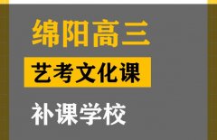 绵阳传媒生文化课辅导班,高三艺考生文化课补课学校