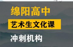 绵阳美术生文化课冲刺班,高中文化课提分机构