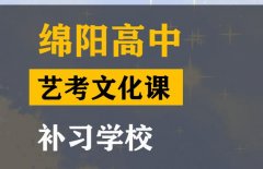 绵阳艺考生文化课回学校还是去机构,高中艺考生文化课补习班