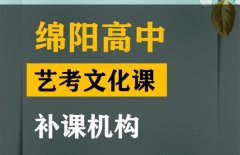 绵阳艺考生文化课培训,高中艺考文化课补课班