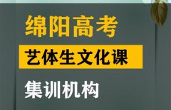 绵阳艺体生文化课集训机构,高中文化课补习班