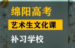 德阳美术生文化课补习怎么收费,高考艺术生文化课补习学校