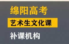 绵阳美术生文化课辅导机构,高考艺术生文化课补课班