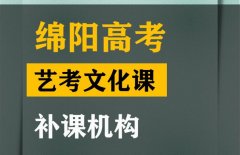 绵竹市表演生文化课补习机构,高三文化课补课机构