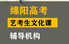 绵阳美术生文化课冲刺学校,高考文化课辅导机构