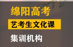 绵阳艺考生文化课集训班,高考文化课补习机构