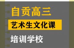 自贡美术生文化课培训班,高中文化课提分学校