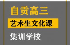 自贡艺术生文化课辅导哪家好,高考文化课集训学校