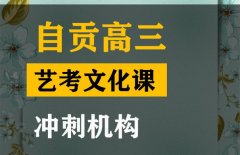 自贡美术生文化课集训班,高三文化课冲刺班