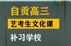 自贡艺考生文化课怎么补最好,高三艺术生文化课补习学校