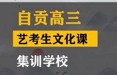 自贡艺考生文化课集训班,高中文化课冲刺学校