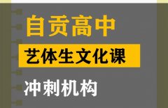 阆中市艺体生文化课冲刺中心,高中文化课辅导机构