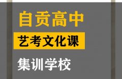 自贡艺考生文化课分数线2023,高中艺考文化课集训班