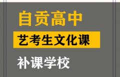 自贡艺考生文化课机构的优势,高中文化课提分学校