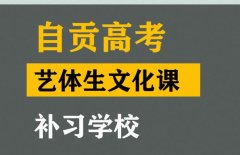 自贡艺体生文化课补习怎么收费,高三文化课补习学校