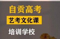 自贡音乐生文化课补习班,高考文化课培训学校