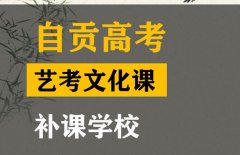 自贡艺考文化课考试科目,高考文化课提分学校