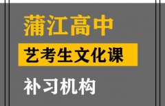 江油市艺考文化课冲刺班,高中艺考生文化课提分机构