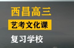 隆昌市艺术生文化课补习班,高三艺考文化课提分学校