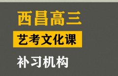 西昌艺考生文化课辅导学校,高三艺考文化课补习机构