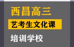 西昌市表演生文化课集训