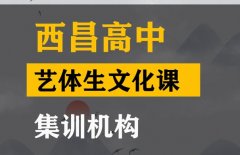 阆中市艺体生文化课辅导班,高三文化课集训机构