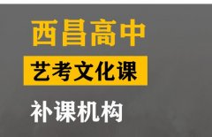 隆昌市﻿艺考生文化课辅导班,高中艺考文化课补课班