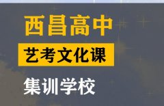 隆昌市舞蹈生文化课补习班,高中文化课集训班