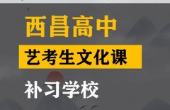 西昌传媒生文化课辅导班,高中文化课补习班