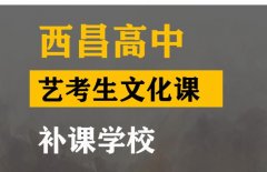 隆昌市音乐生文化课补习班,高中文化课补课学校