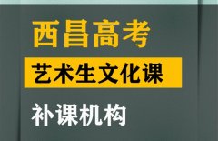 隆昌市艺术生文化课补课机构,高中文化课集训班