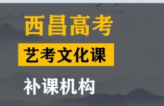 隆昌市艺考文化课集训中心,高三文化课补课机构