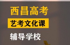 隆昌市艺考文化课辅导学校,高三文化课补课班