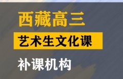 万源市传媒生文化课集训机构,高三艺术生文化课补课机构