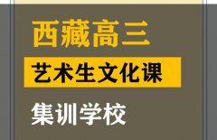 西昌美术生文化课培训学校,高三艺术生文化课集训学校