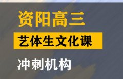 资阳体育生文化课冲刺机构,高中文化课集训班