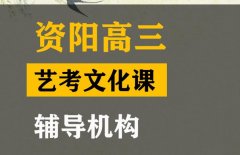 资阳传媒生文化课冲刺班,高三文化课辅导班