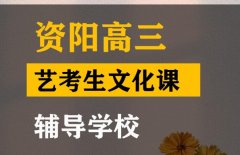 资阳传媒生文化课集训机构,高三艺考生文化课辅导学校