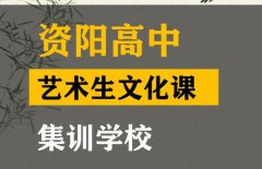 资阳音乐生文化课冲刺学校,高中艺考生文化课集训学校