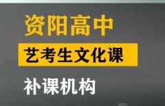 资阳艺术生文化课培训班