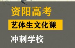 资阳体育生文化课冲刺班,高三文化课集训学校